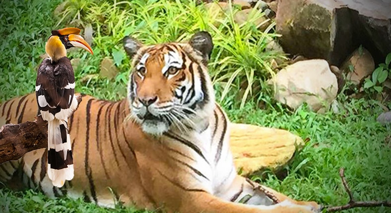 Langkawi Wildlife Park & Bird Paradise