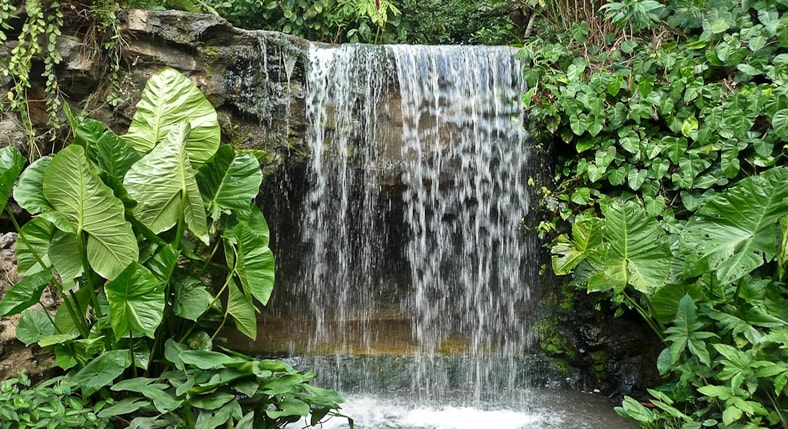 Penang Botanic Gardens