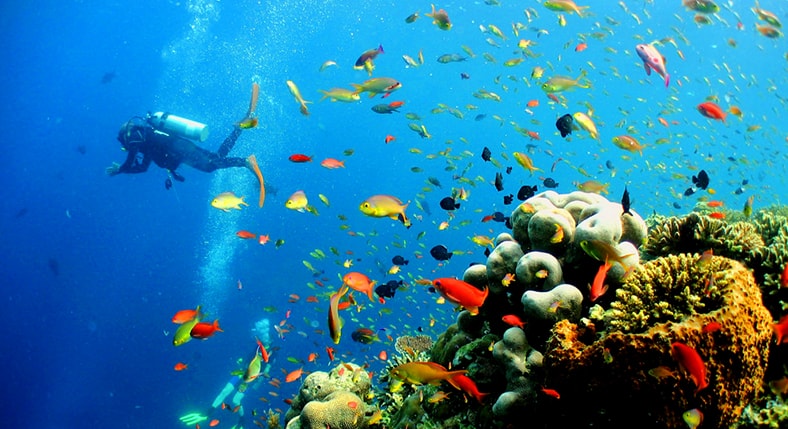 Sipadan National Park
